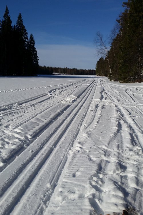 Yhteisvastuuhiihto Yhteisvastuuhiihto