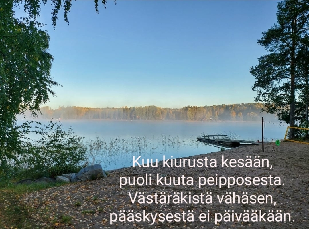 Lummeniemen hiekkaranta.