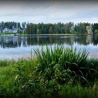 Etualalla vihreää rantaa, taustalla järvi.